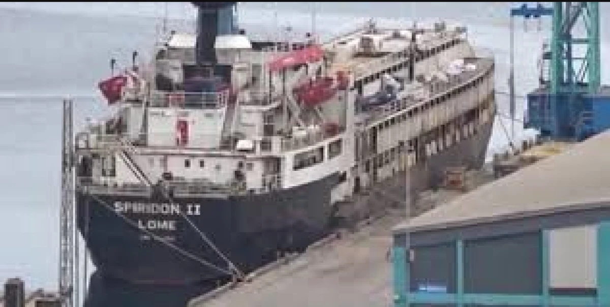 Bandırma Limanı Açıklarında Hayvan Krizi: Gemideki Sığırların Akıbeti Belirsiz!