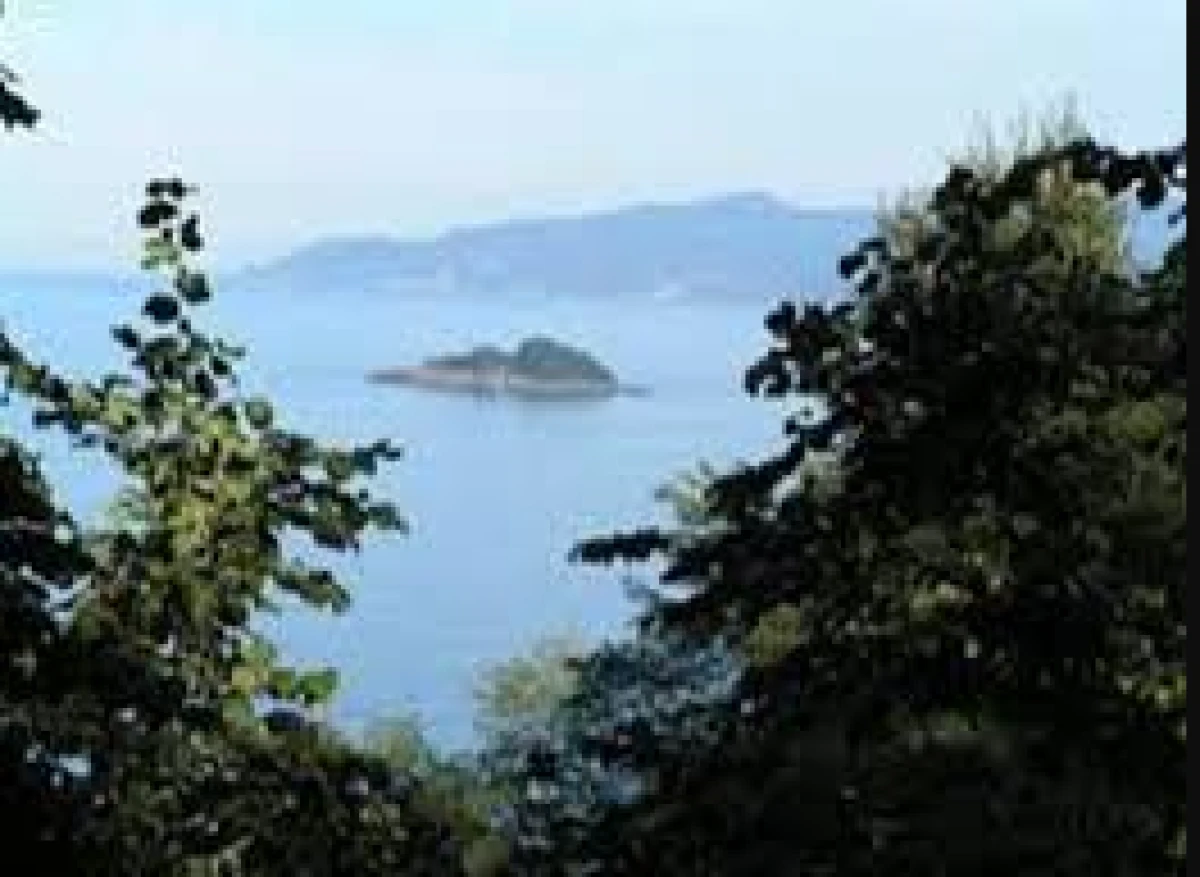 GİRESUN&rsquo;UN GELECEĞİ İHALEYE &Ccedil;IKARILIYOR: 18 BİN HEKTARLIK DOĞA KATLİAMINA DUR DEYİN!