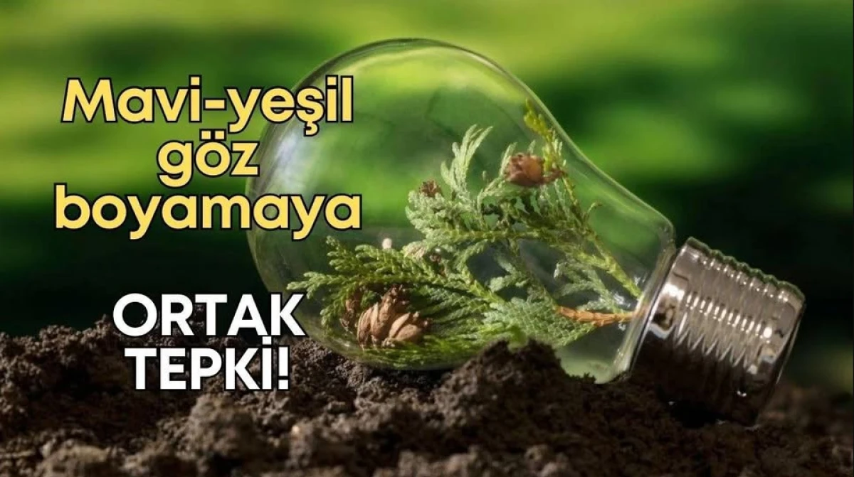 Mavi-yeşil g&ouml;z boyamaya ortak tepki!