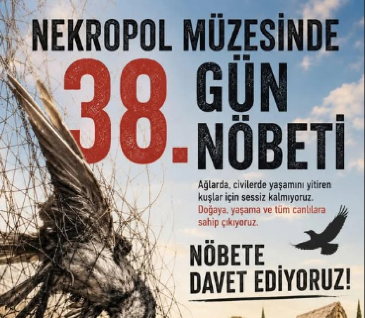 Nekropol M&uuml;zesiydi, &lsquo;kuş mezarlığı&rsquo; oldu!