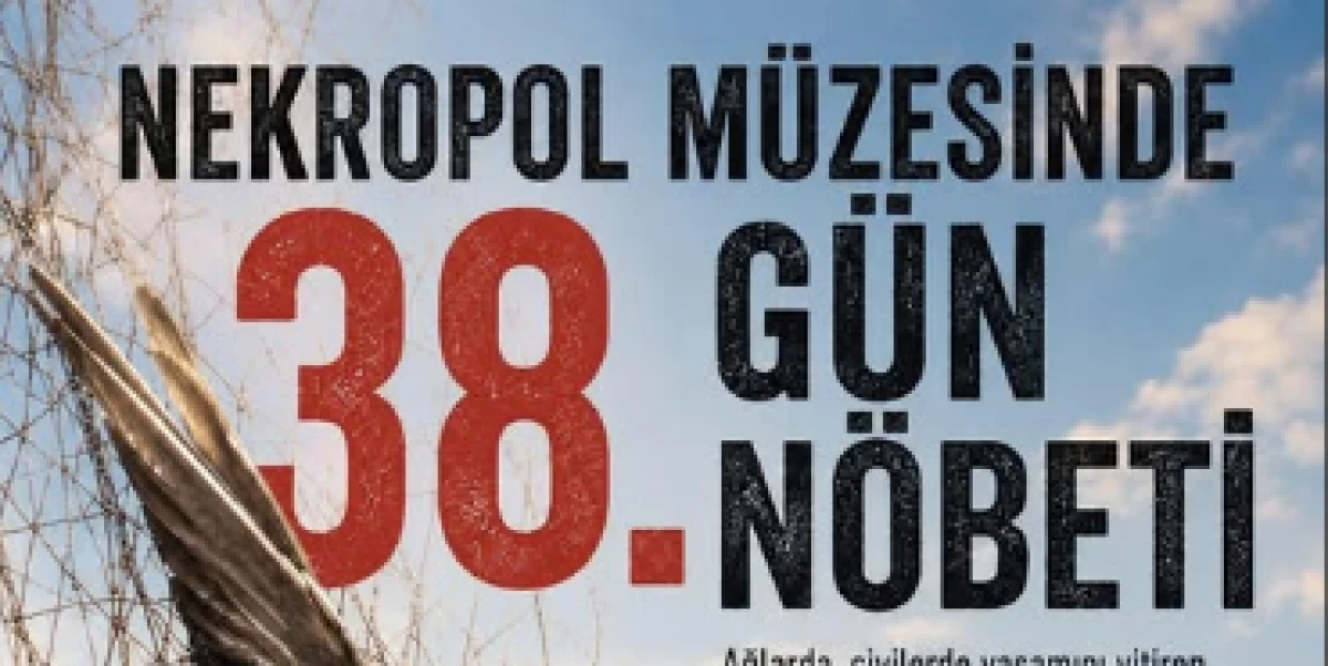 Nekropol M&uuml;zesiydi, &lsquo;kuş mezarlığı&rsquo; oldu!
