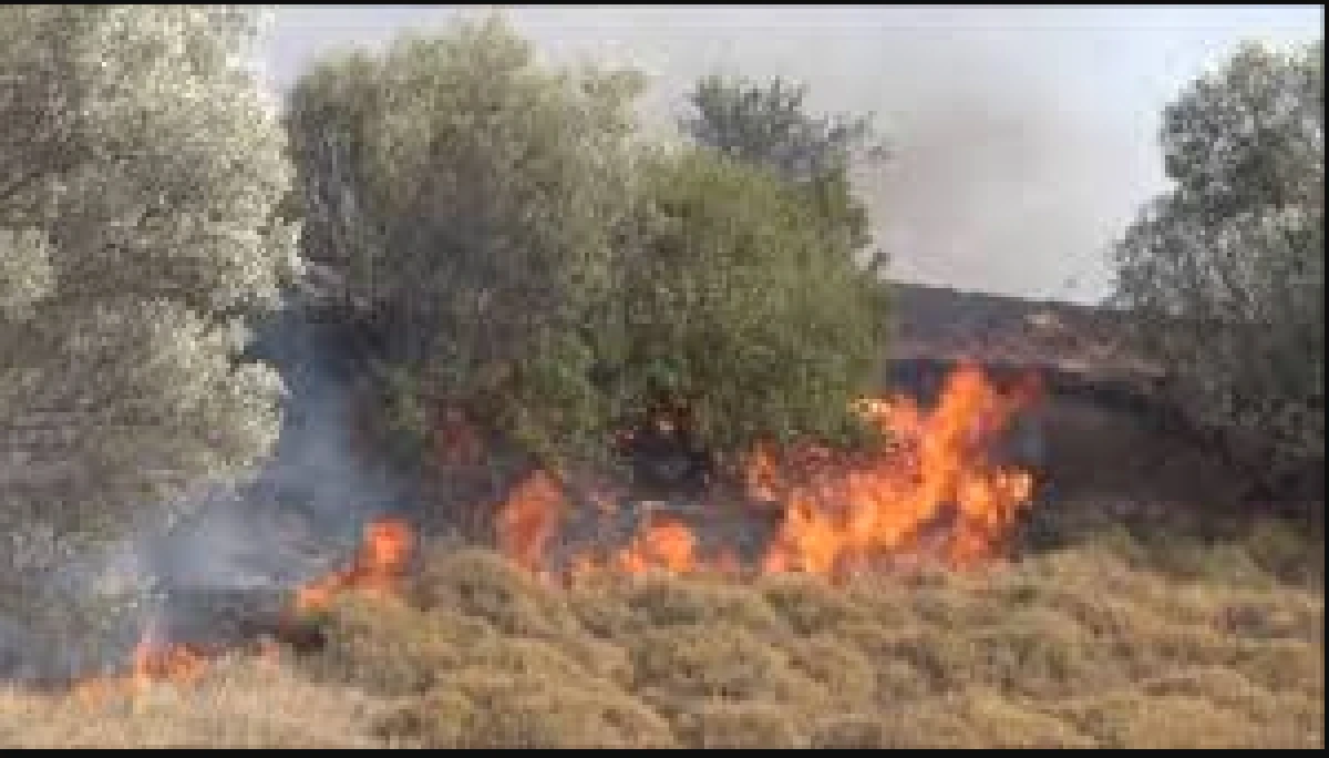 ORHANLI VADİSİ'NDE JEOTERMAL VE YANGININ ETKİLERİ