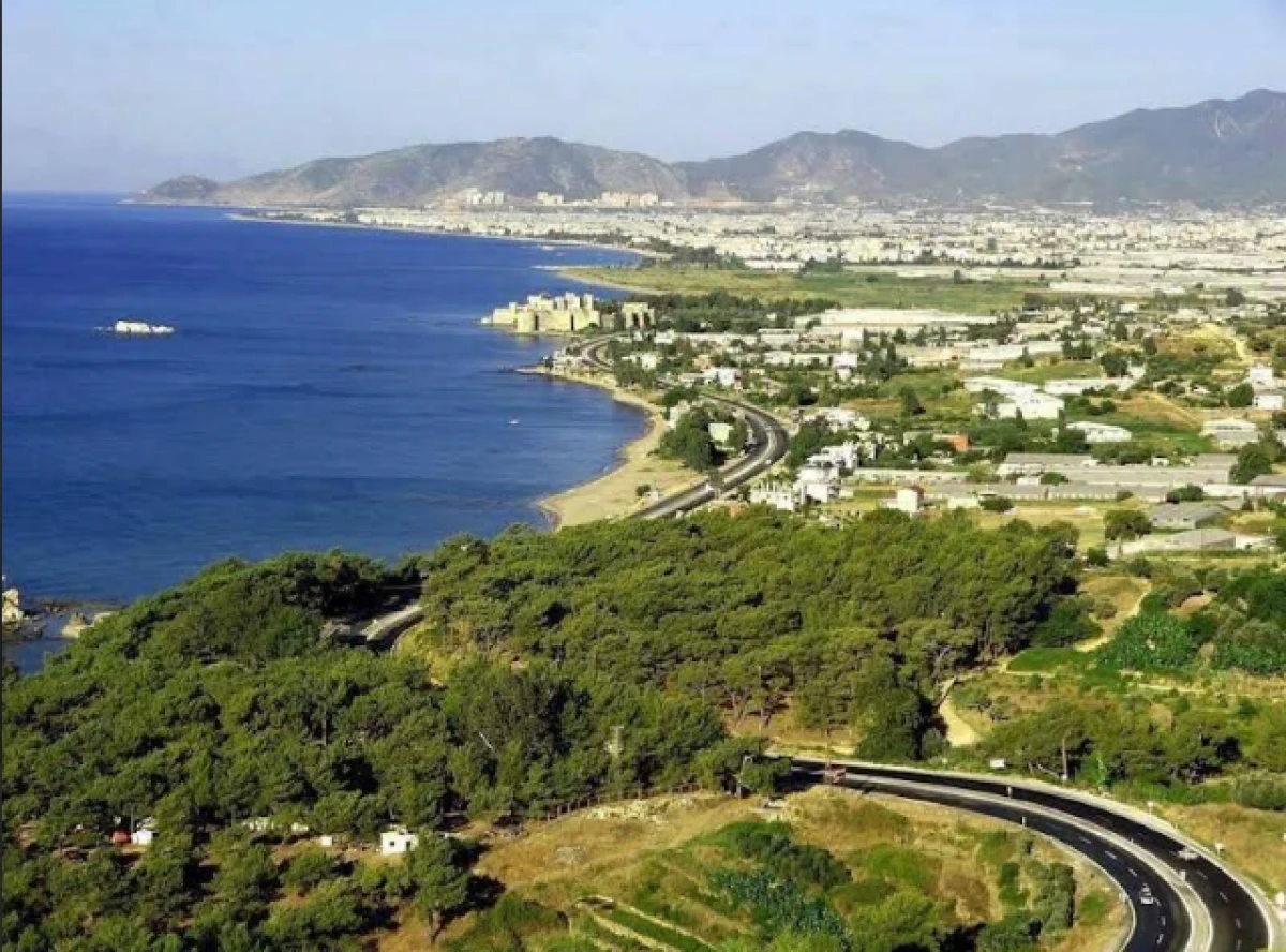 Sahillerdeki orman arazilerinde yağma sezonu a&ccedil;ıldı!