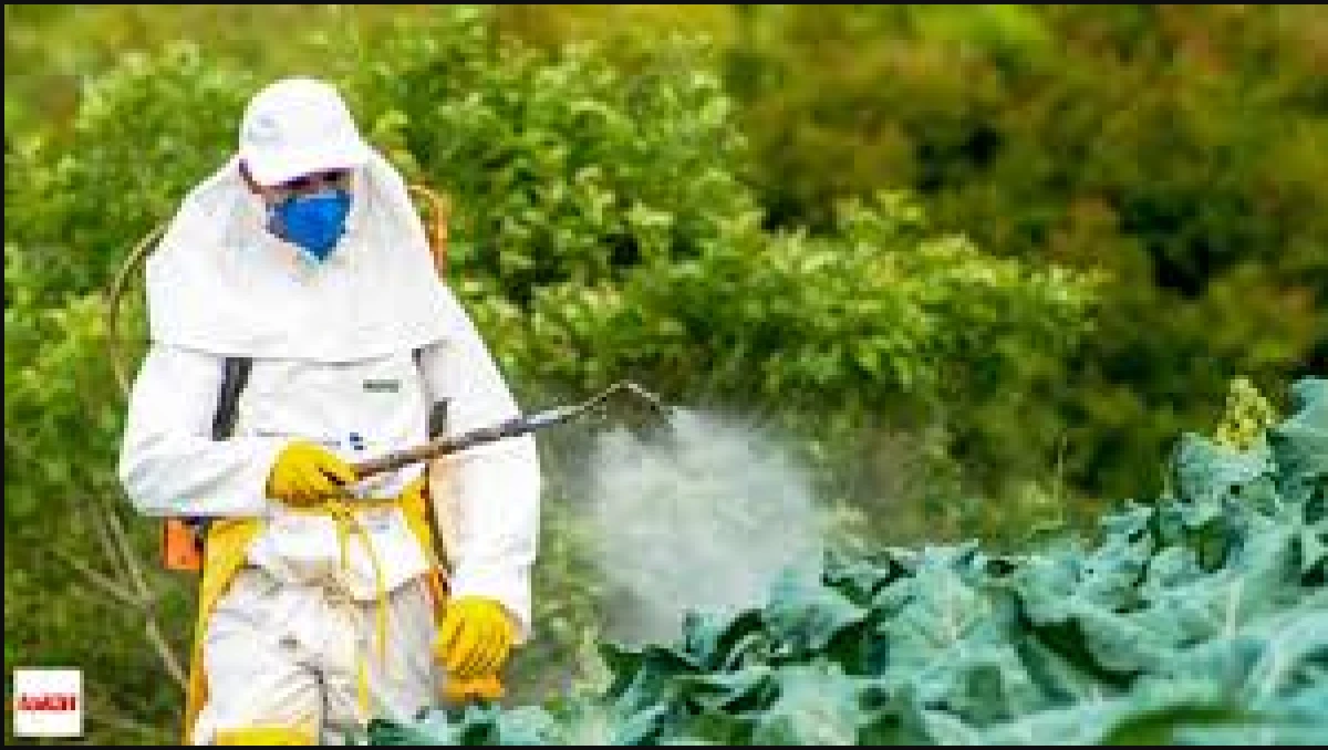 Tarım İla&ccedil;ları Satışına B&uuml;y&uuml;k D&uuml;zenleme: İnternet Satışı Yasaklandı, Re&ccedil;ete Zorunluluğu Getirildi!