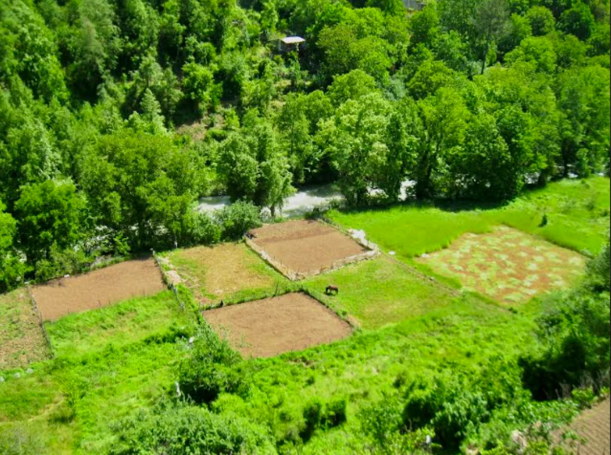 Tarımda geniş tabanlı &ouml;rg&uuml;tlenme adımı