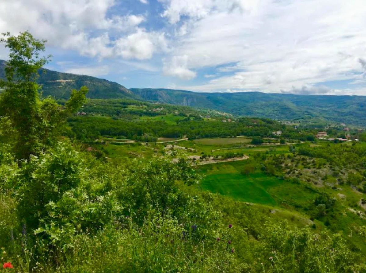 Tokat&rsquo;ta 60 bin ağa&ccedil; i&ccedil;in hukuk savaşı!