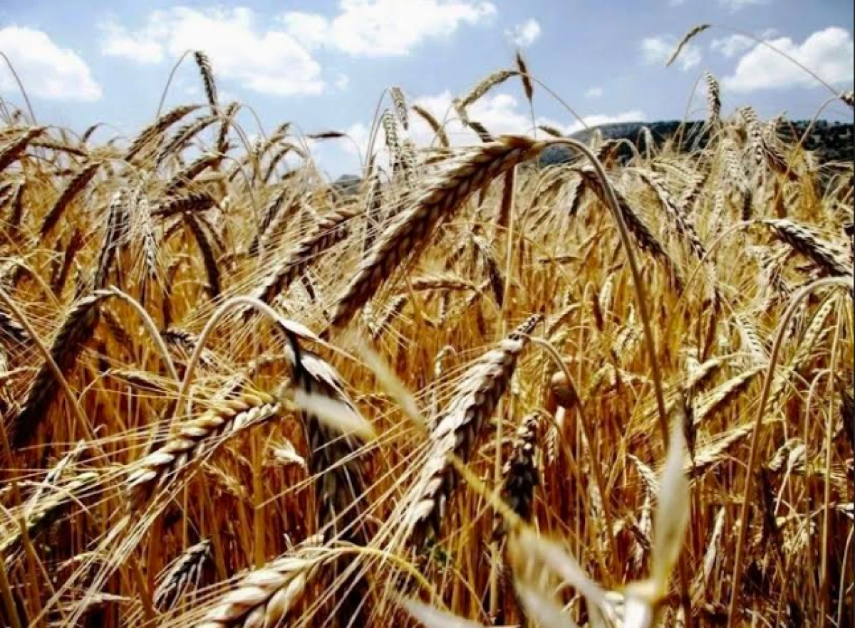 Toprak, su ve gıdanın geleceği i&ccedil;in işbirliği &ccedil;ağrısı&hellip;